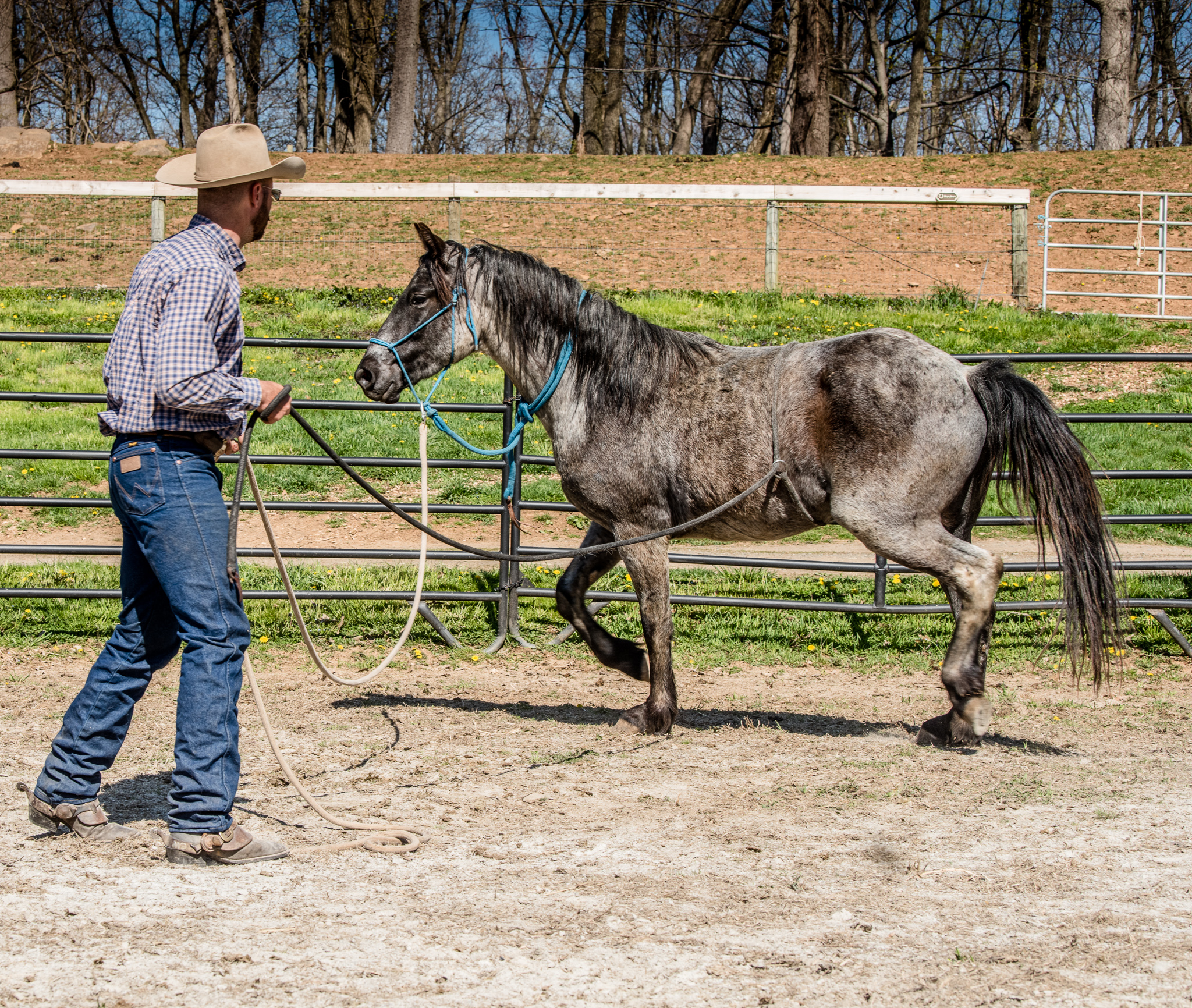 “Church on a Horse” Nov 3