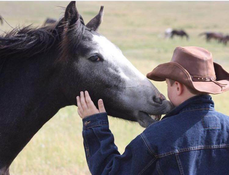 Nokota® Colt Start and Foundation Clinic Nov 1-4