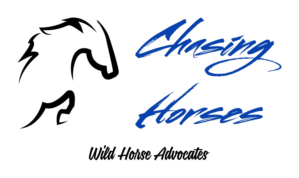Chasing Horses: Horse Talk Zoom Series