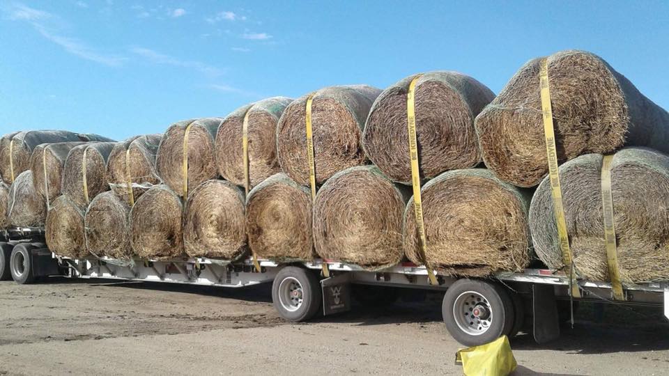 Hay Arrives in North Dakota!