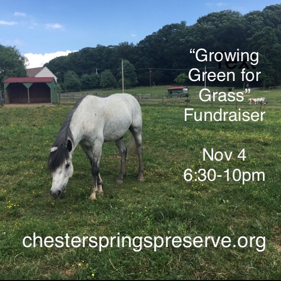 Growing Green for Grass Fundraiser Nov 4