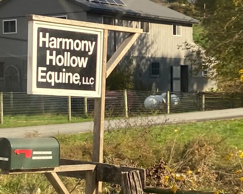 Nokota® Herd Grows at Harmony Hollow!